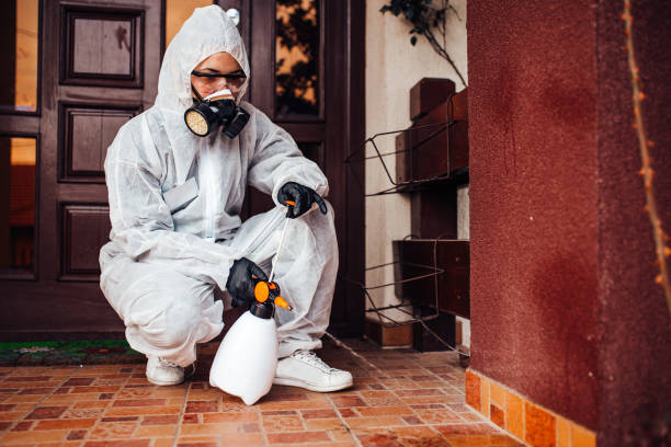 Reliable Termite Control contractor in Mount Jackson, VA by Nex Pest Control