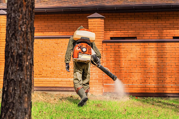 Top rated local Termite Control specialists in Mount Jackson, VA